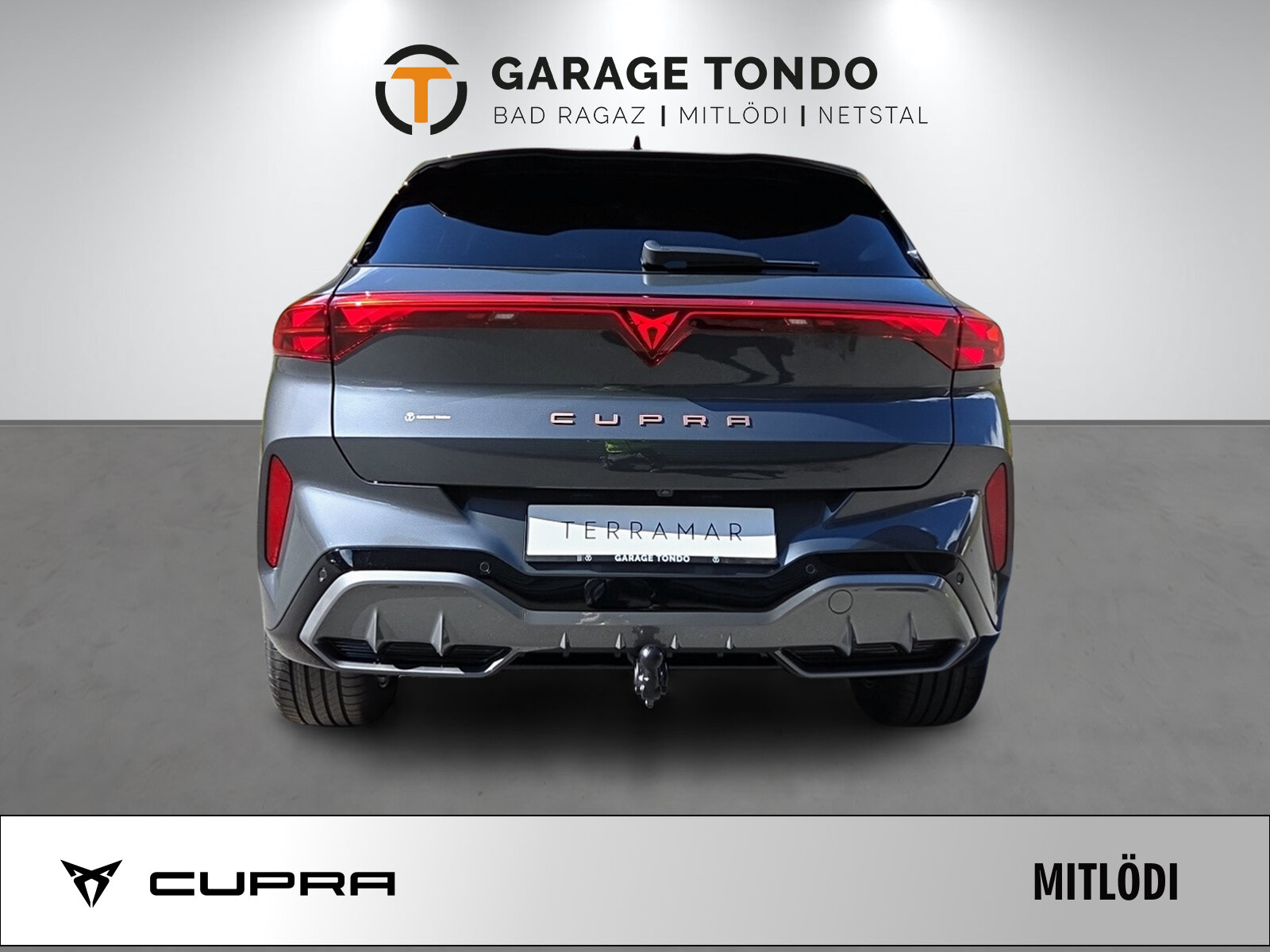 SEAT Terramar PE 2.0TSI 204 4 2000ccm 204PS/150kW 4 Zylinder TSI , Benzin, Neuwagen, Automatik - 5