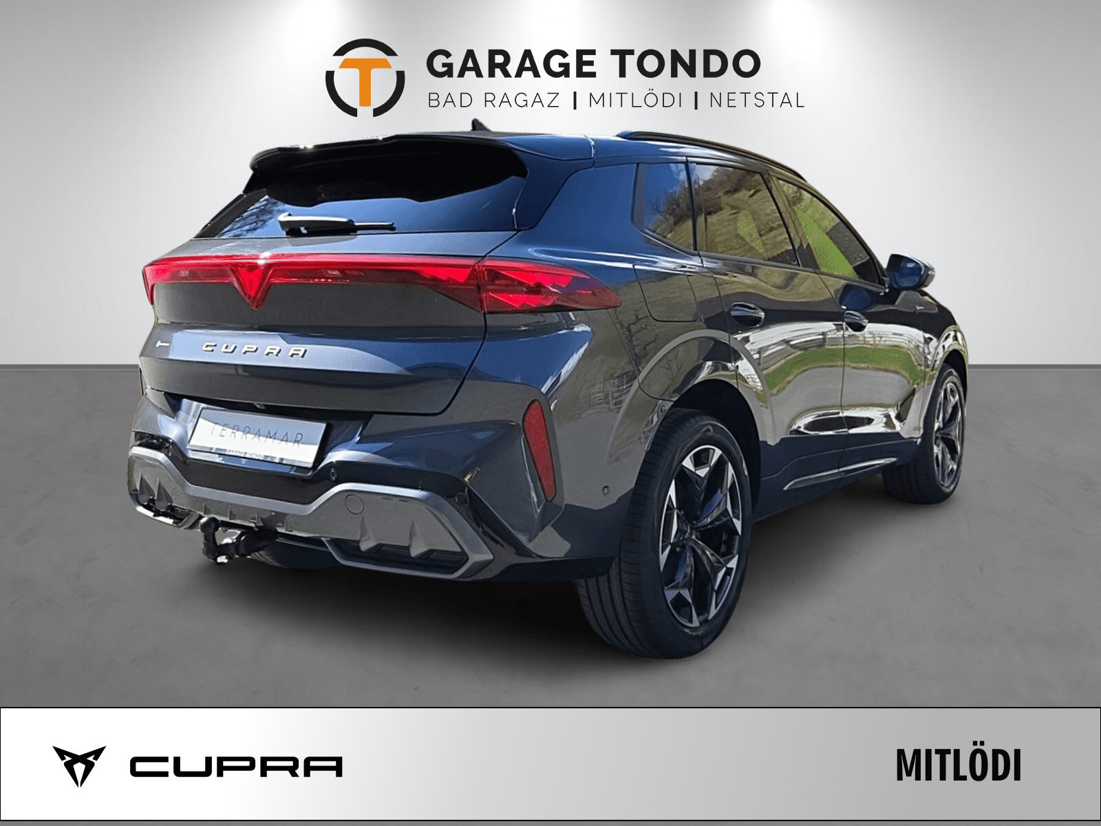 SEAT Terramar PE 2.0TSI 204 4 2000ccm 204PS/150kW 4 Zylinder TSI , Benzin, Neuwagen, Automatik - 6