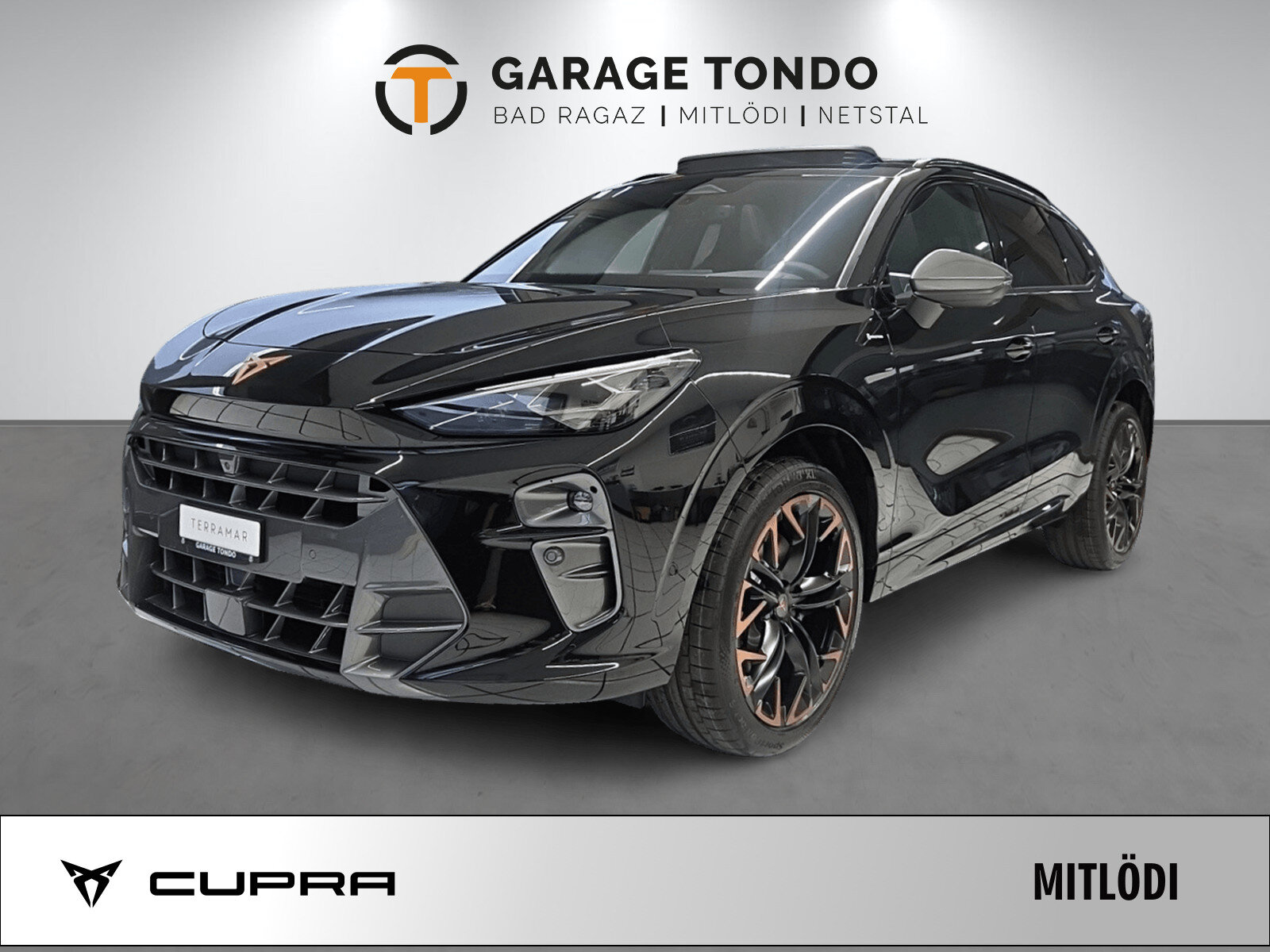 SEAT Terramar PE2.0TSI 265PS 2000ccm 265PS/195kW 4 Zylinder TSI B