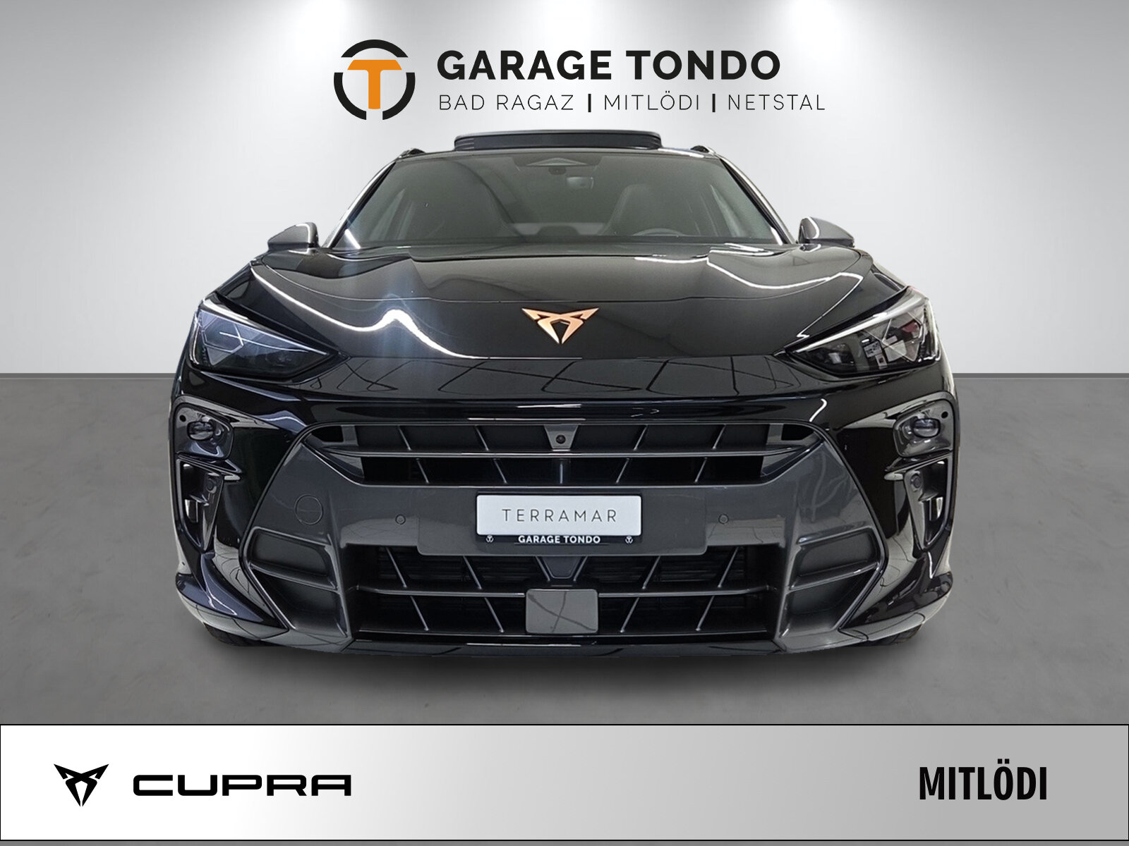 SEAT Terramar PE2.0TSI 265PS 2000ccm 265PS/195kW 4 Zylinder TSI B, Benzina, Auto nuove, Automatico - 2