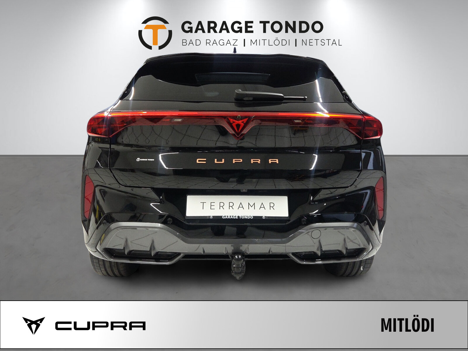 SEAT Terramar PE2.0TSI 265PS 2000ccm 265PS/195kW 4 Zylinder TSI B, Benzina, Auto nuove, Automatico - 6