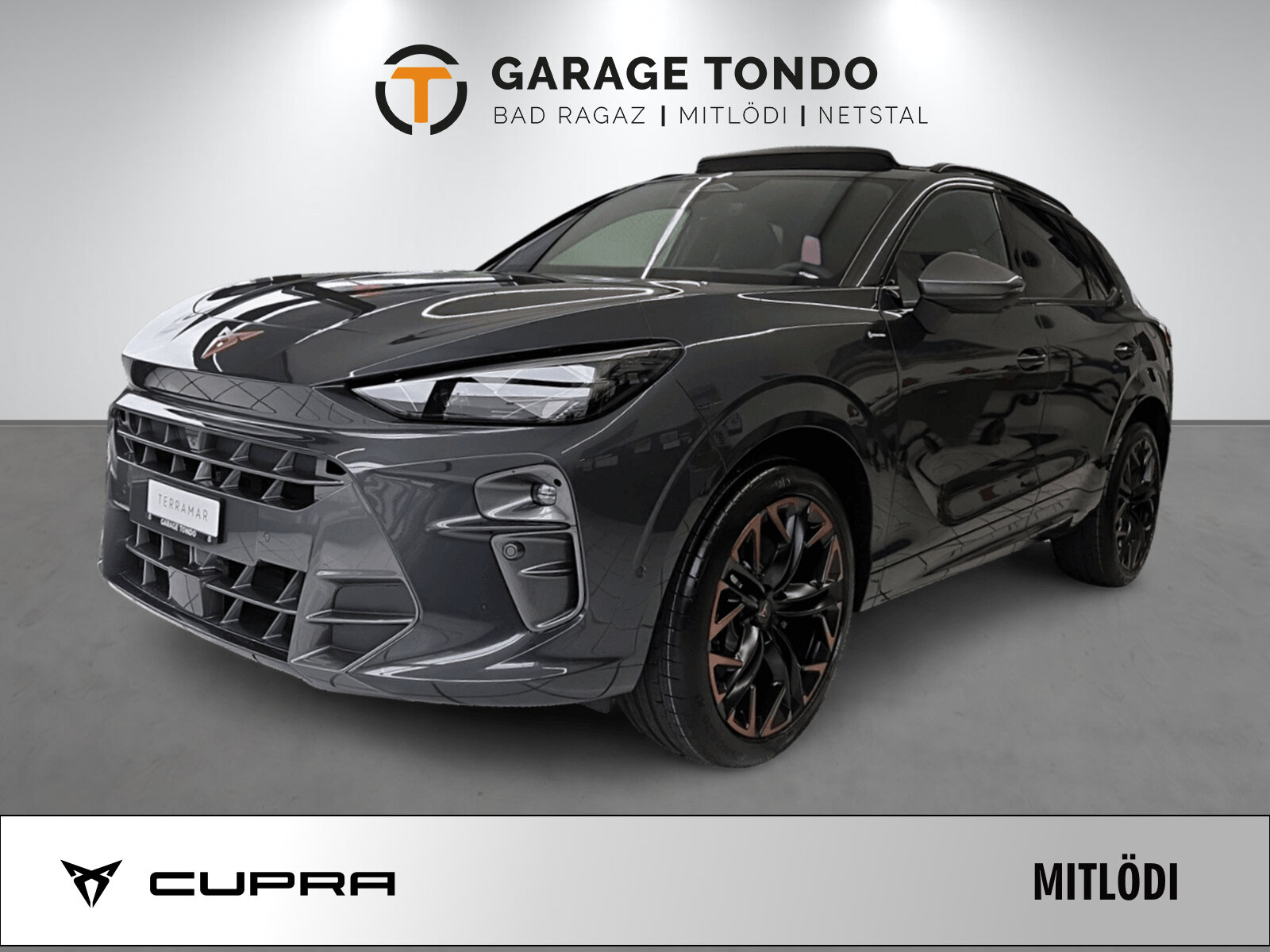 SEAT Terramar PE2.0TSI 265PS 2000ccm 265PS/195kW 4 Zylinder TSI B