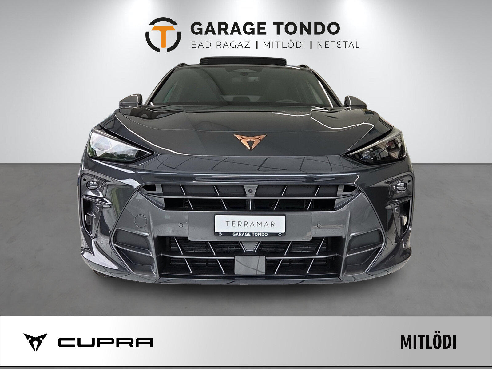 SEAT Terramar PE2.0TSI 265PS 2000ccm 265PS/195kW 4 Zylinder TSI B, Benzin, Neuwagen, Automatik - 2