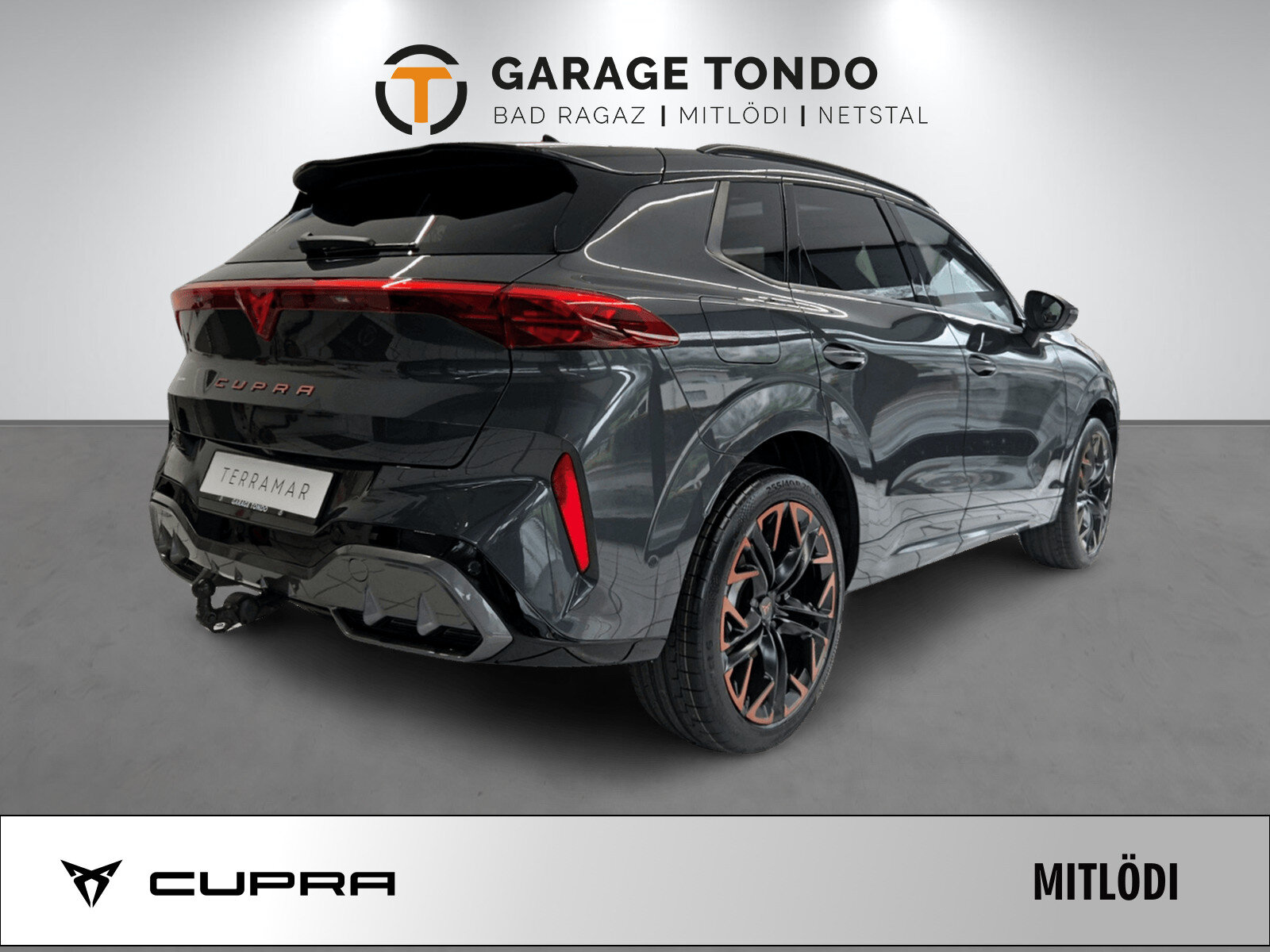 SEAT Terramar PE2.0TSI 265PS 2000ccm 265PS/195kW 4 Zylinder TSI B, Benzin, Neuwagen, Automatik - 3