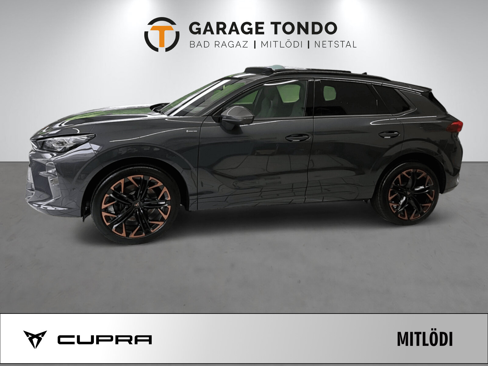 SEAT Terramar PE2.0TSI 265PS 2000ccm 265PS/195kW 4 Zylinder TSI B, Benzin, Neuwagen, Automatik - 4