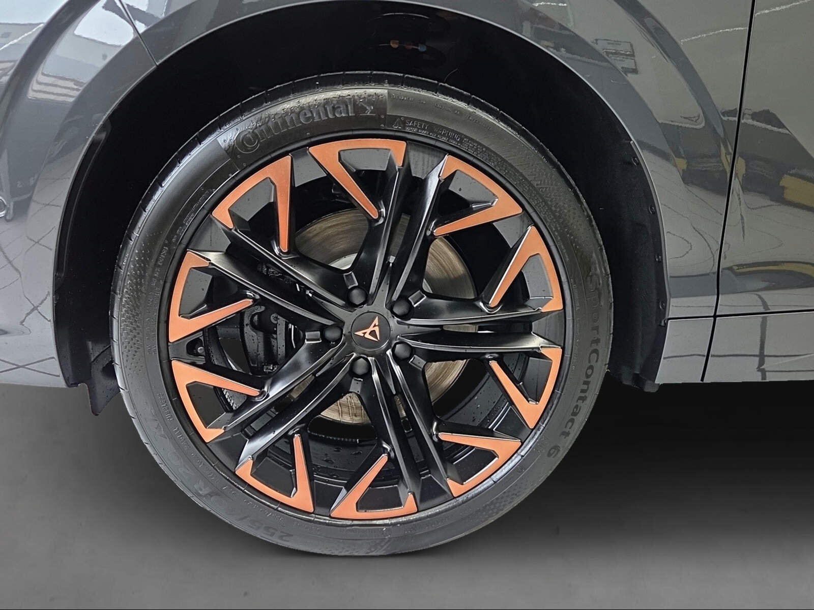 SEAT Terramar PE2.0TSI 265PS 2000ccm 265PS/195kW 4 Zylinder TSI B, Benzin, Neuwagen, Automatik - 5