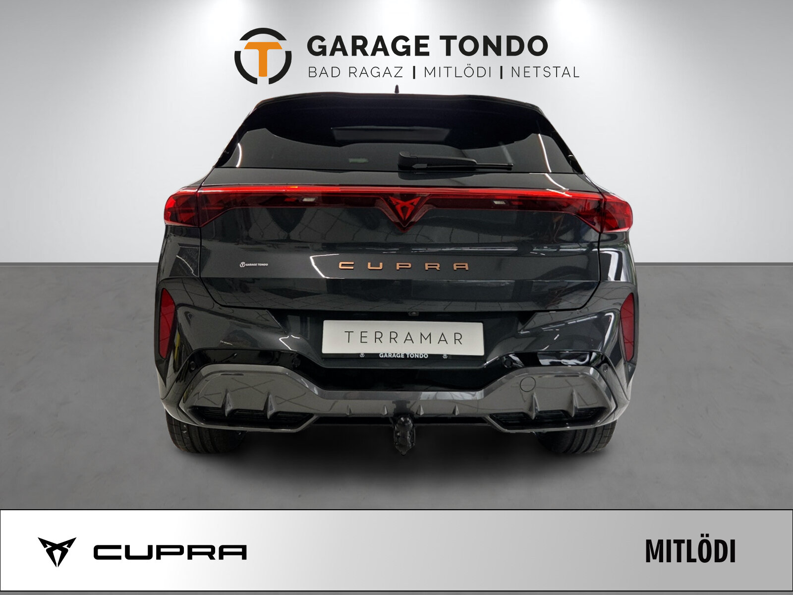 SEAT Terramar PE2.0TSI 265PS 2000ccm 265PS/195kW 4 Zylinder TSI B, Benzin, Neuwagen, Automatik - 6