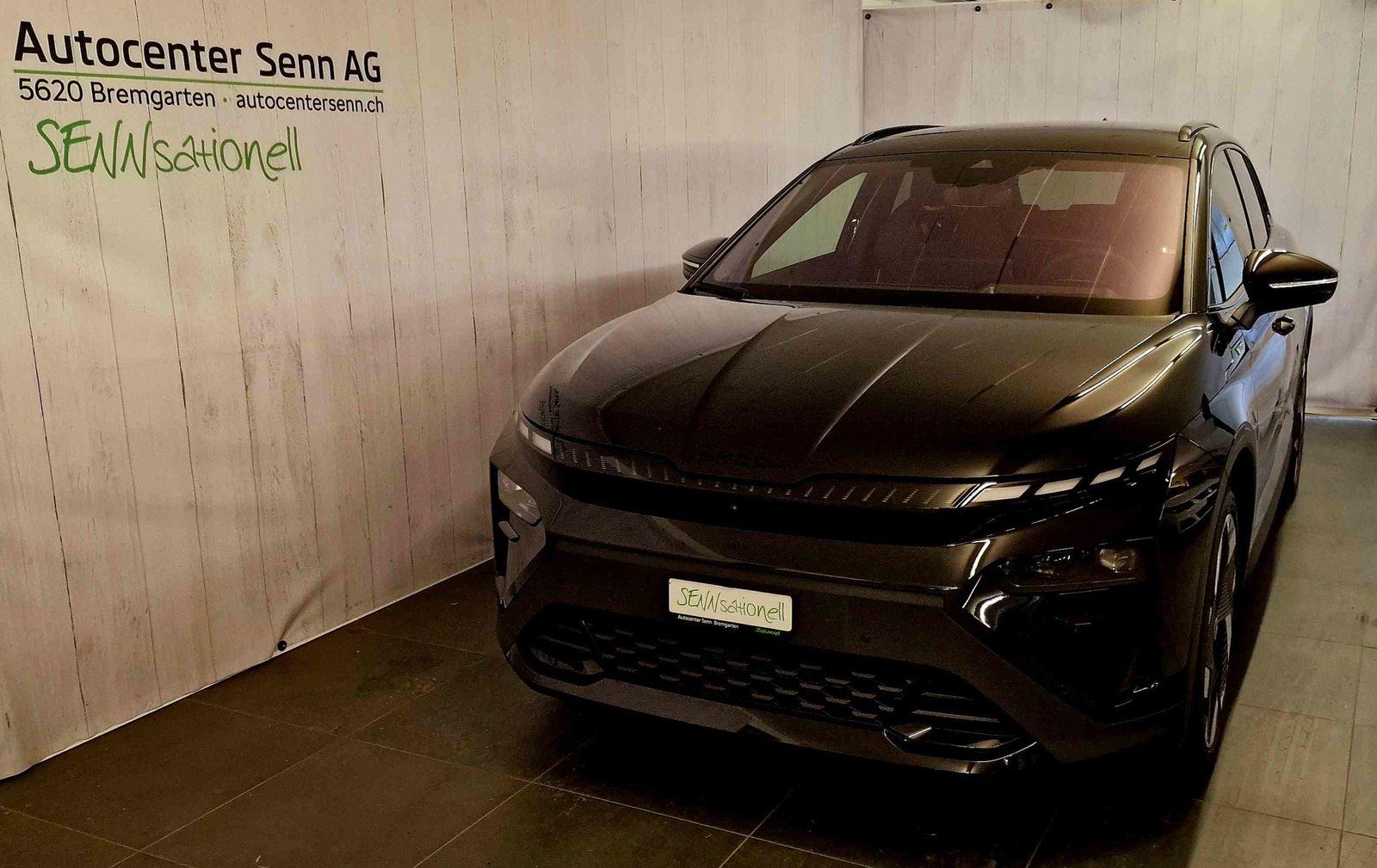 SKODA ELROQ