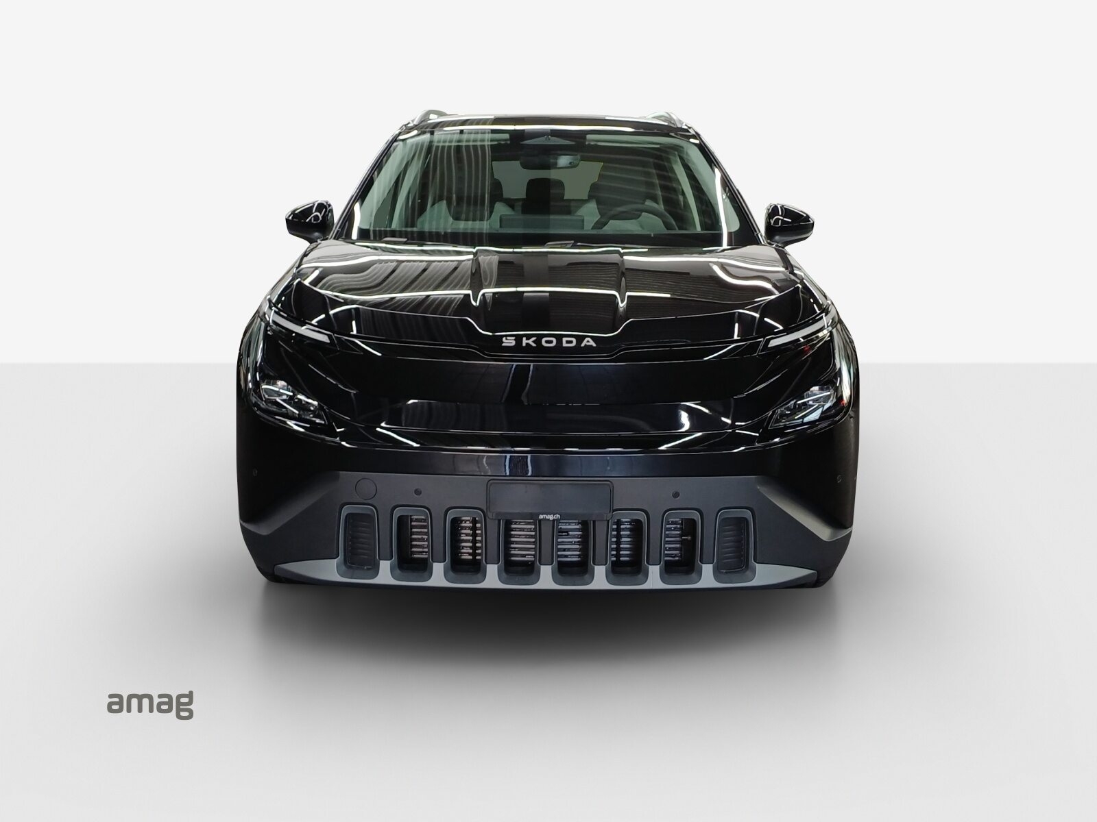 SKODA Epiq Selection, Électrique, Occasion / Utilisé, Automatique - 7
