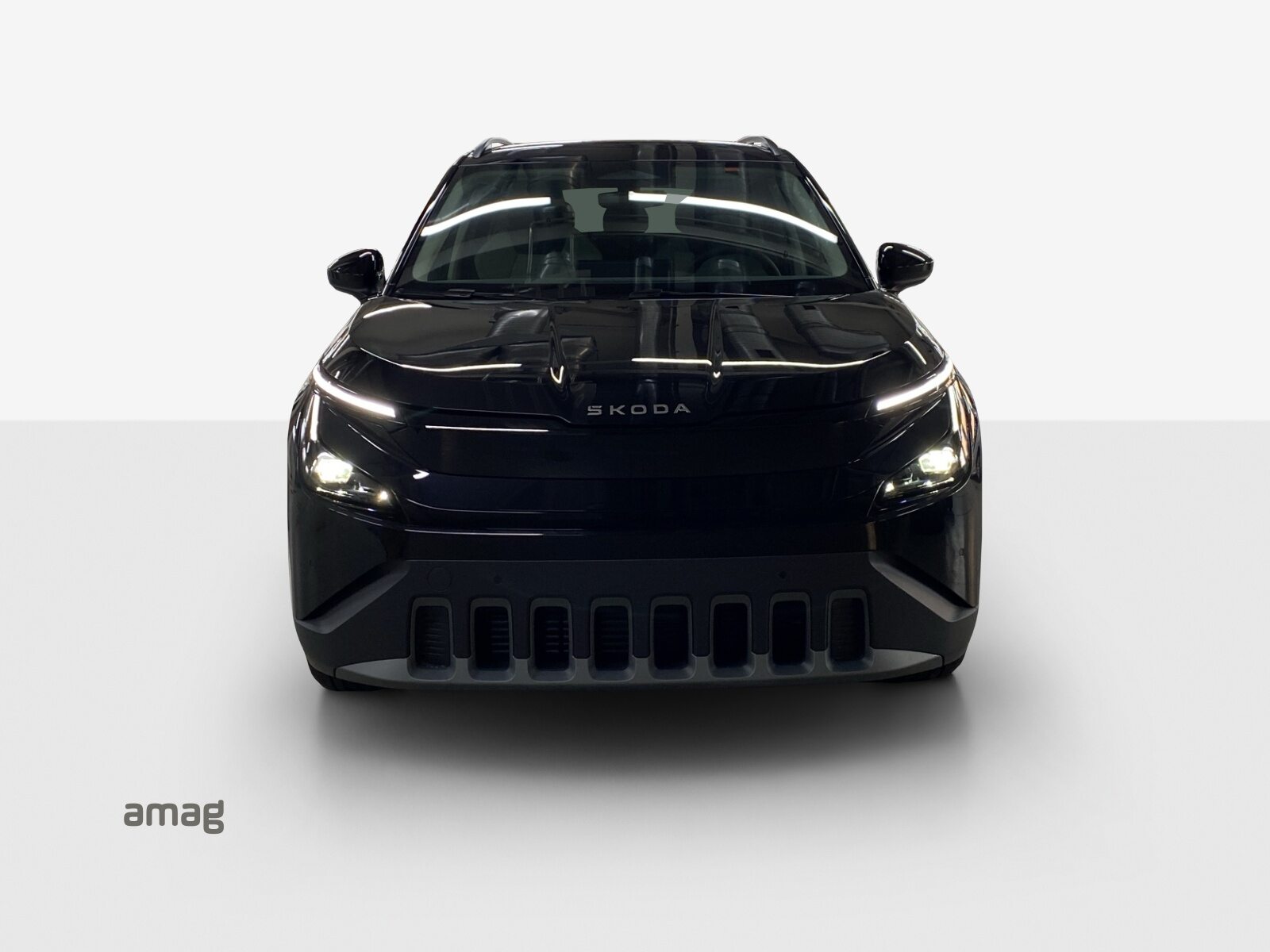 SKODA Epiq Selection, Électrique, Occasion / Utilisé, Automatique - 7