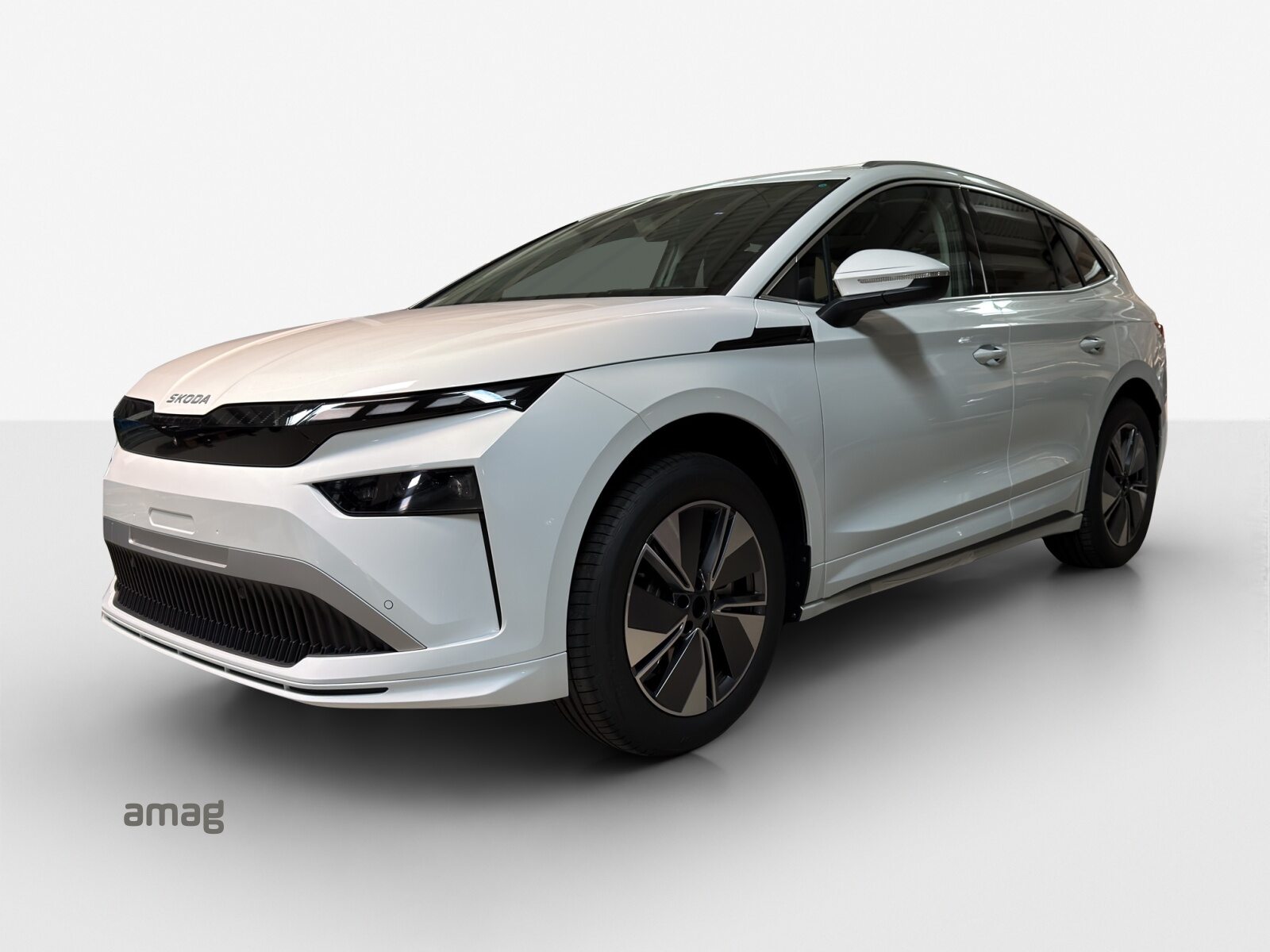 SKODA Enyaq Dynamic (Netto)
