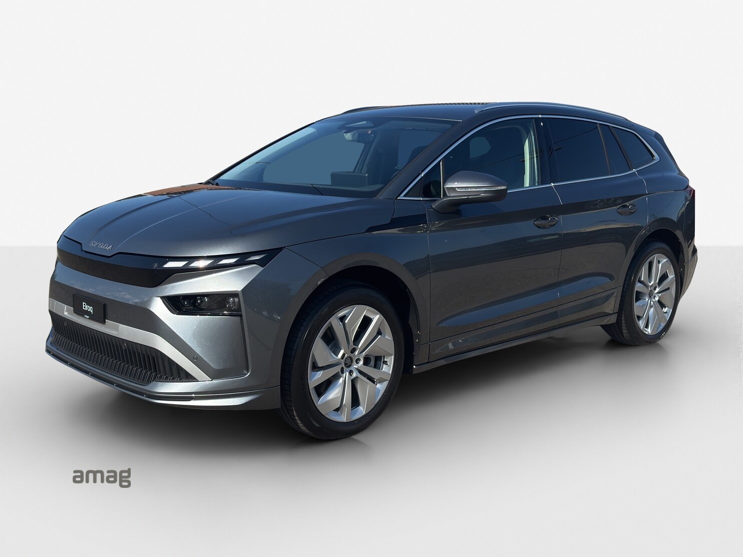 SKODA Enyaq Dynamic (Netto)