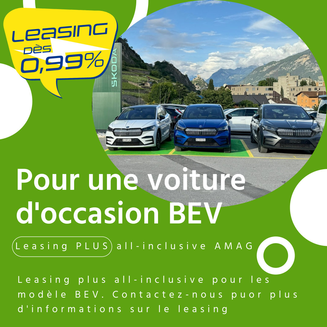 SKODA ENYAQ iV 80 4x2, Elettrica, Occasioni / Usate, Automatico - 6