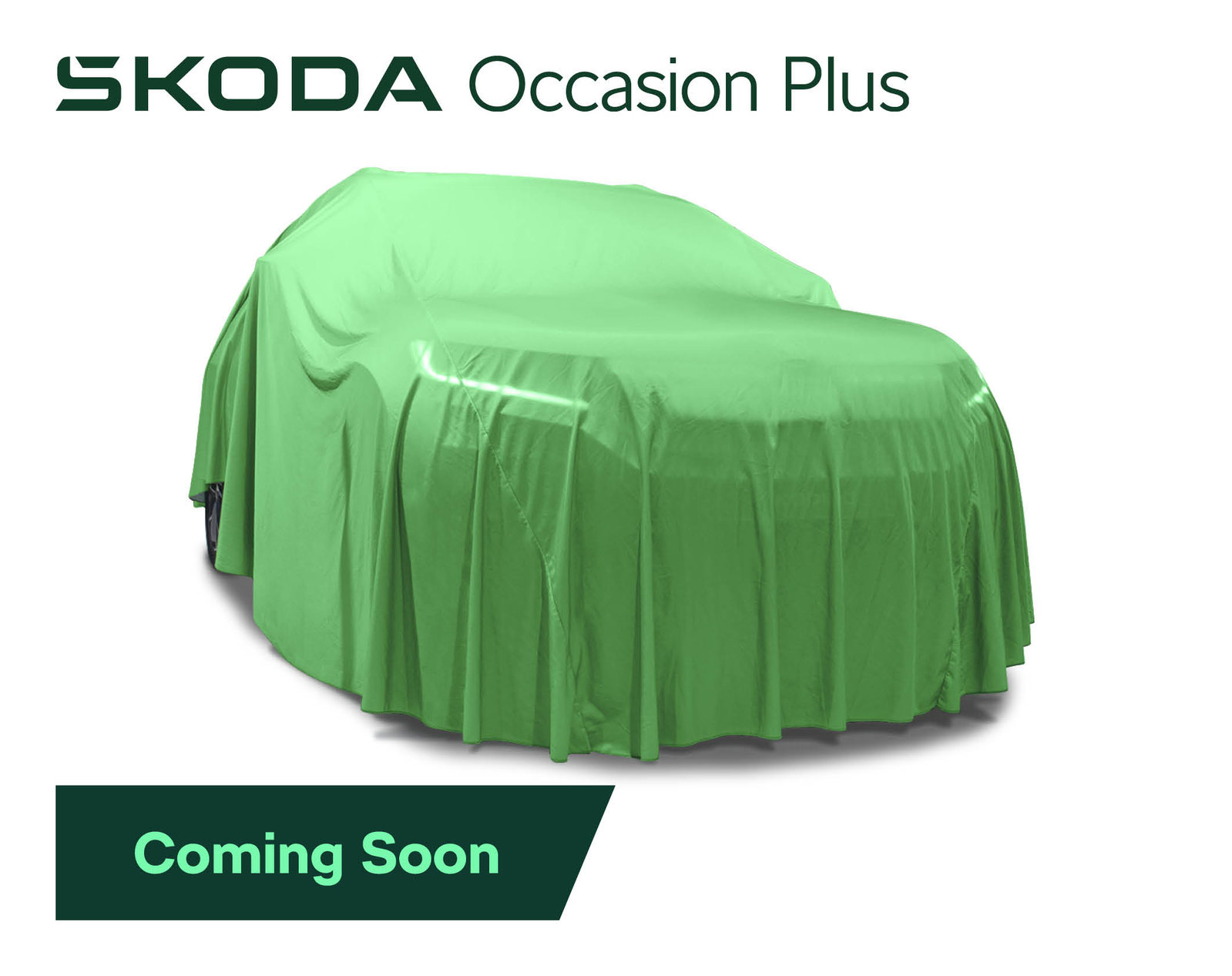 SKODA Enyaq RS 85x 4x4