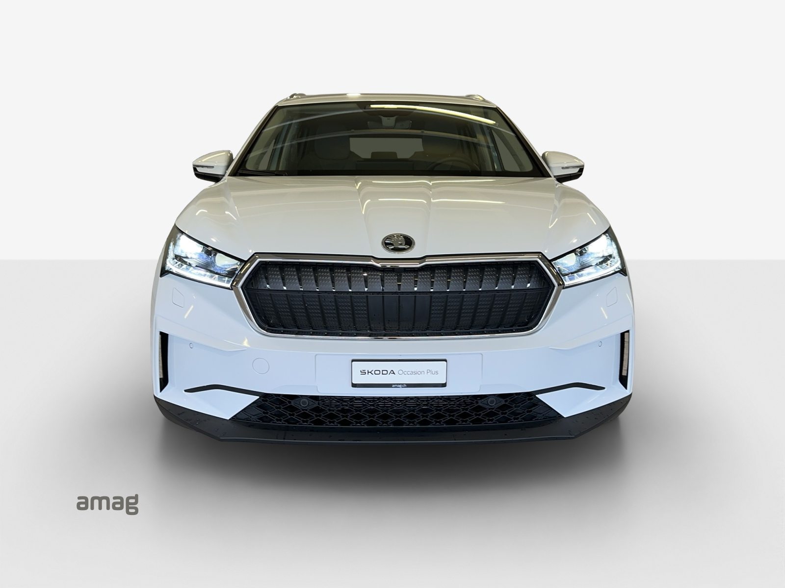 SKODA Enyaq 80x 4x4, Elettrica, Occasioni / Usate, Automatico - 7