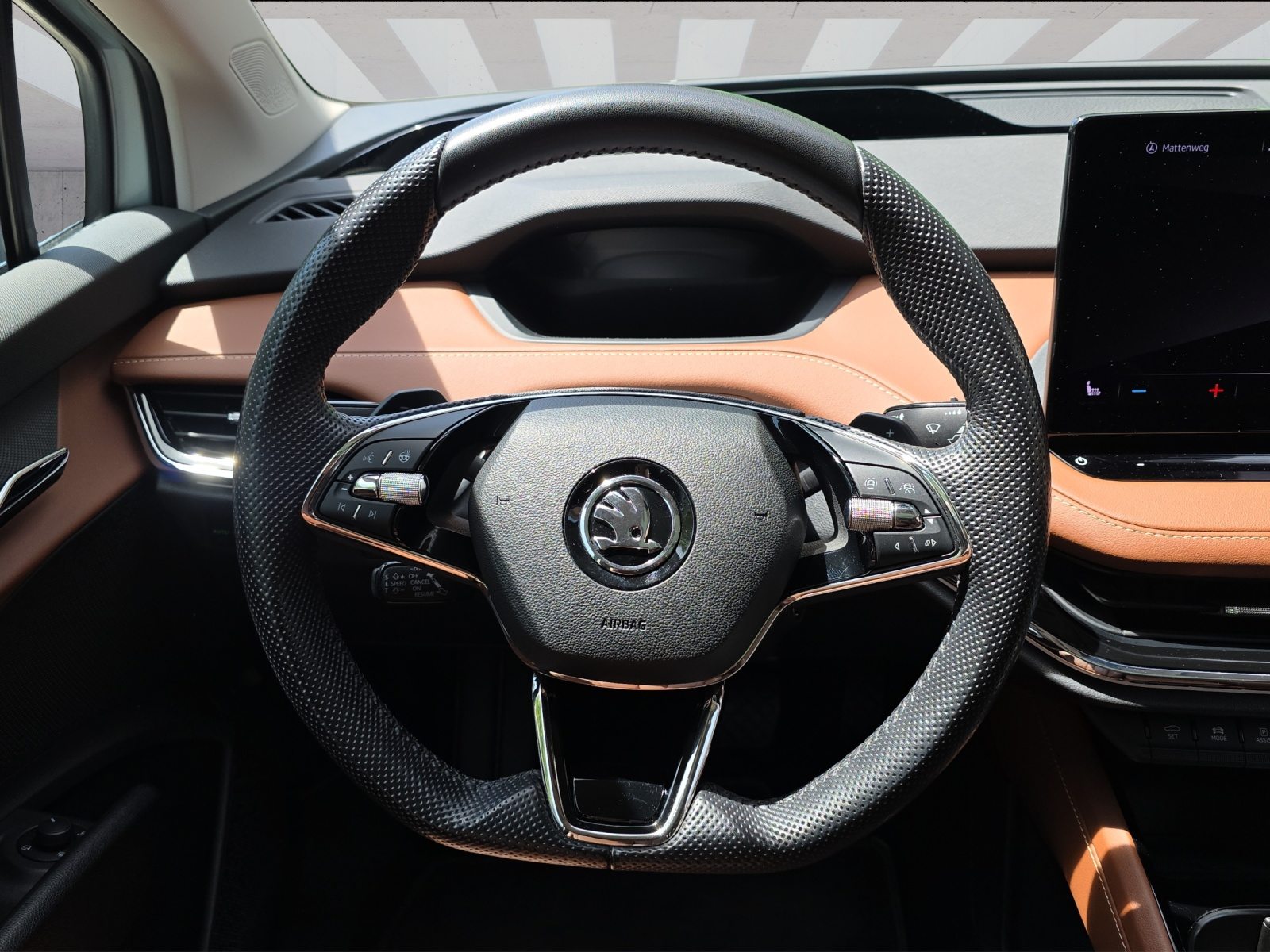 SKODA ENYAQ iV 80x 4x4, Électrique, Occasion / Utilisé, Automatique - 6