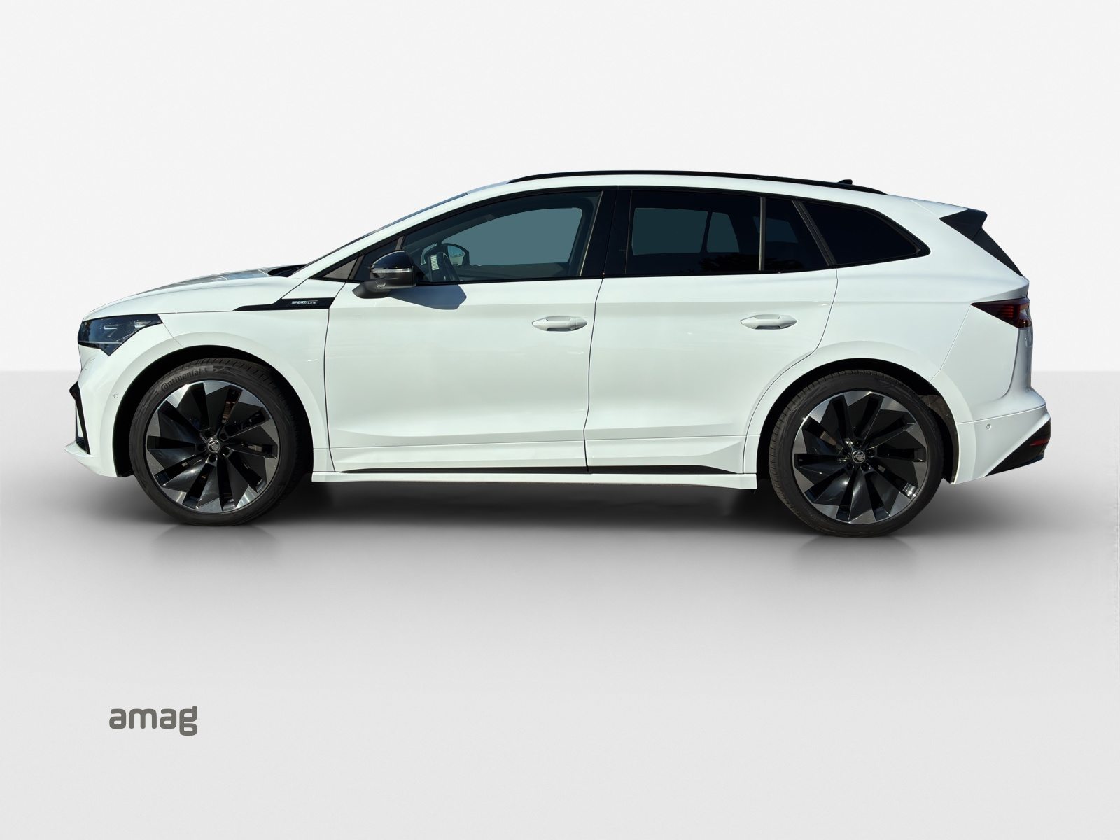 SKODA Enyaq Sportline 80 4x2, Elettrica, Occasioni / Usate, Automatico - 2