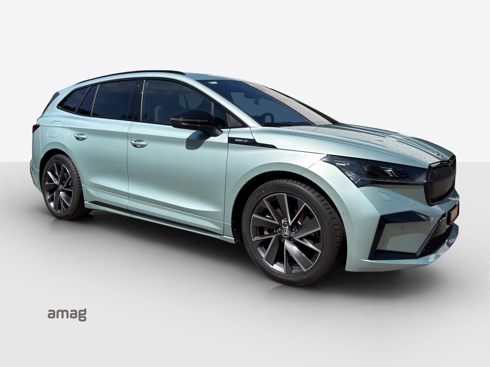 SKODA ENYAQ Sportline iV 80x 4x4, Électrique, Occasion / Utilisé, Automatique - 6