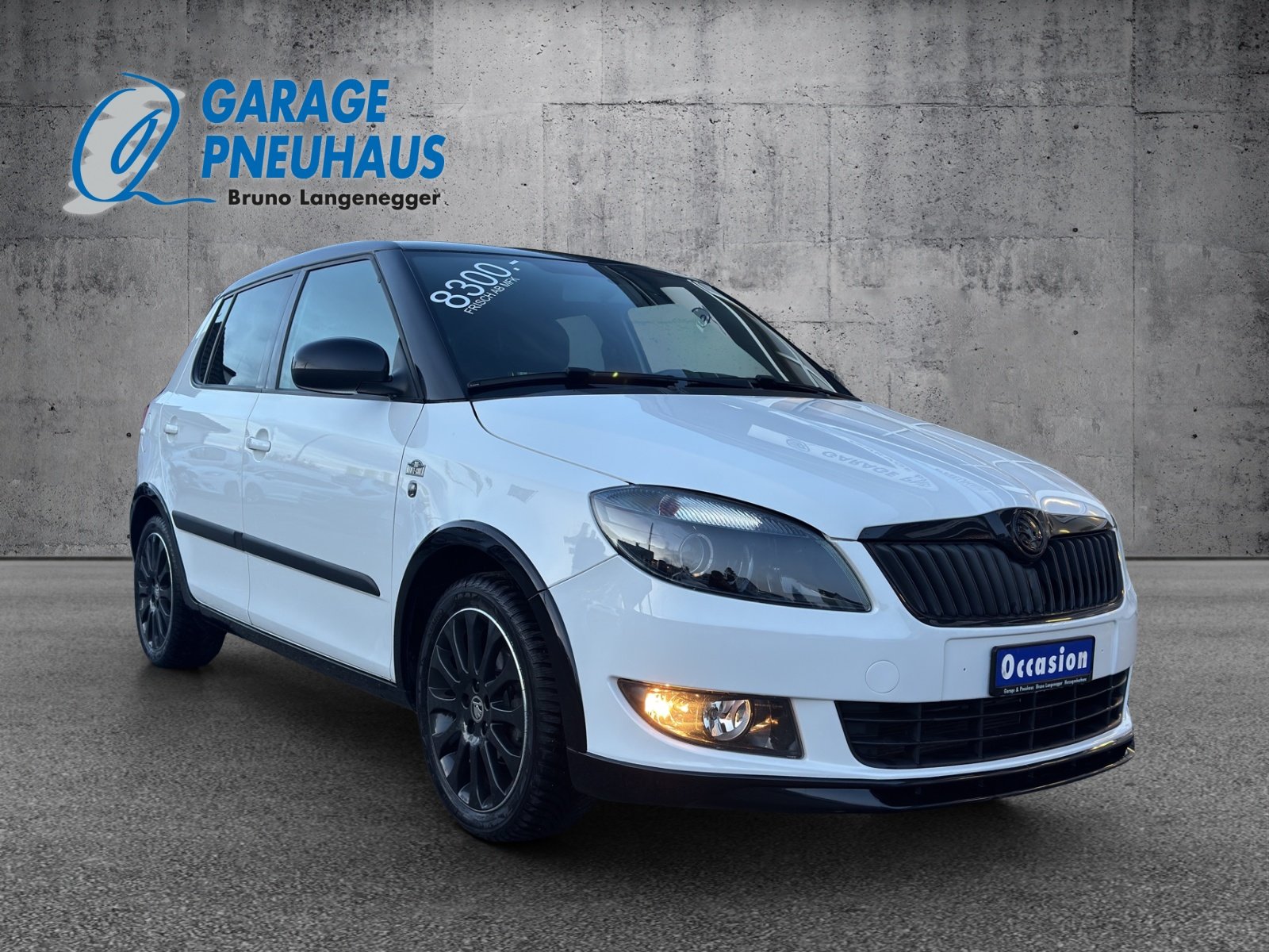 SKODA Fabia 1.2 TSI Ambition Plus, Benzina, Occasioni / Usate, Manuale - 2