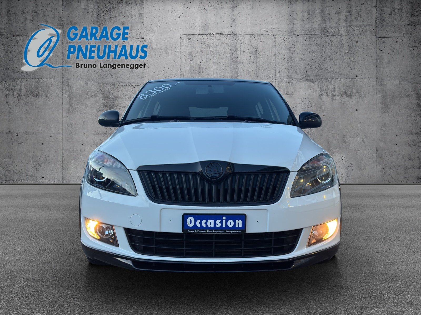 SKODA Fabia 1.2 TSI Ambition Plus, Benzina, Occasioni / Usate, Manuale - 3