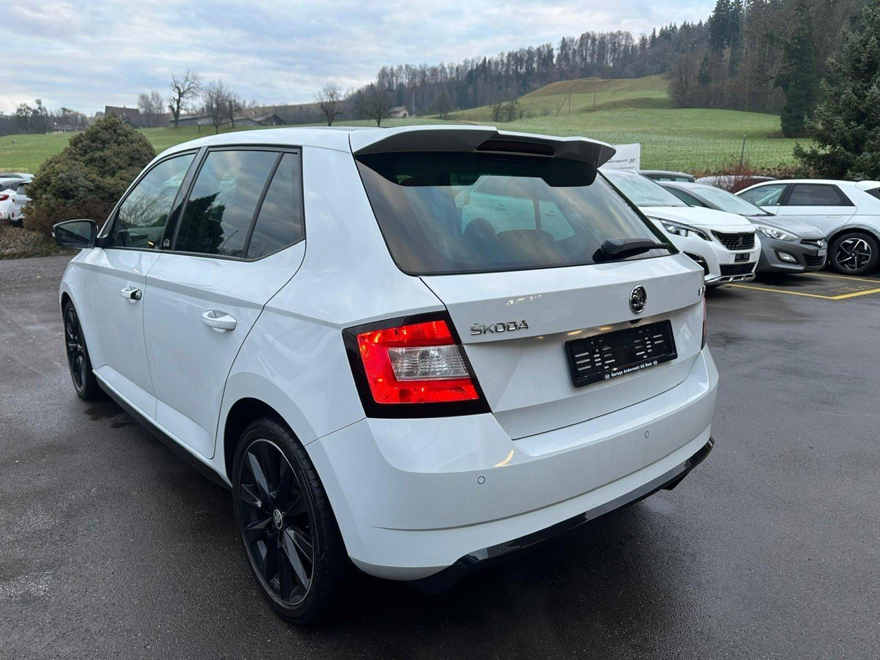 SKODA Fabia 1.0 TSI Monte Carlo DSG, Petrol, Second hand / Used, Automatic - 6