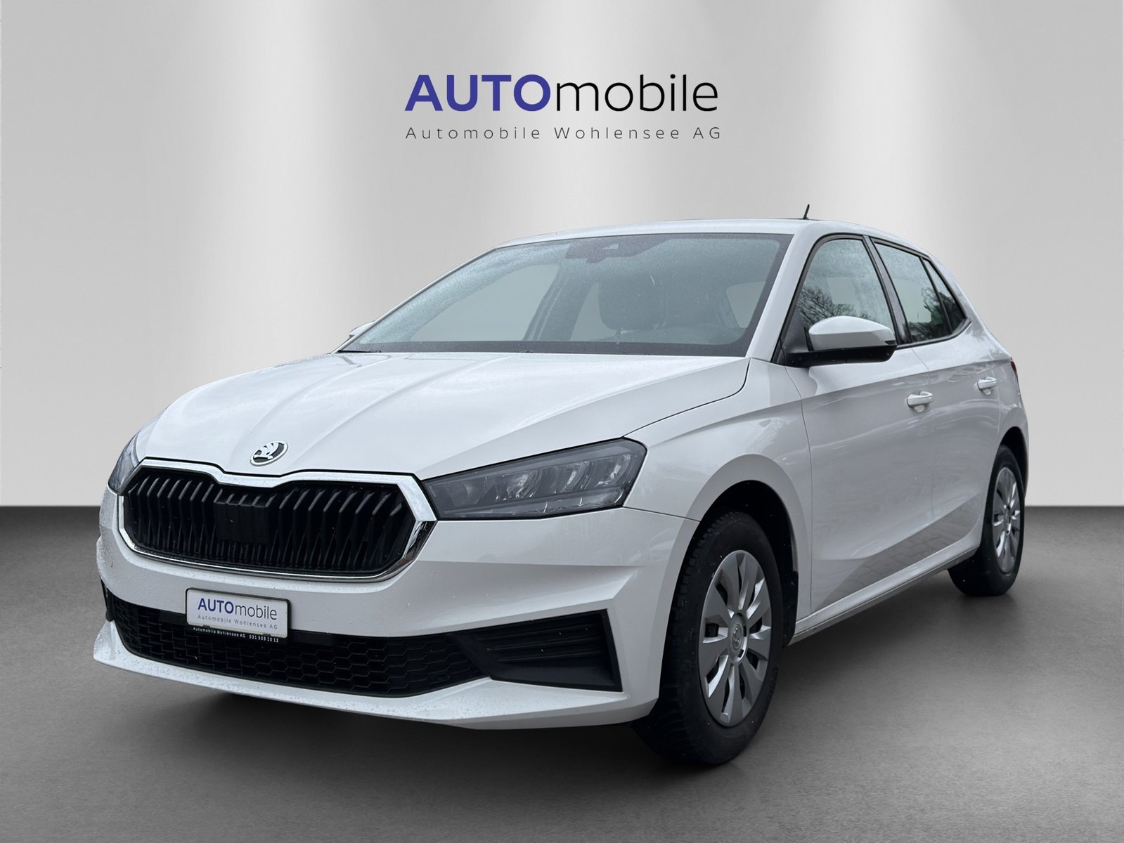 SKODA Fabia 1.0 MPI Active, Benzina, Occasioni / Usate, Manuale - 2