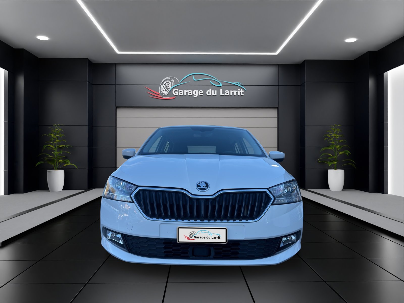 SKODA Fabia 1.0 TSI Ambition DSG, Benzina, Occasioni / Usate, Automatico - 2