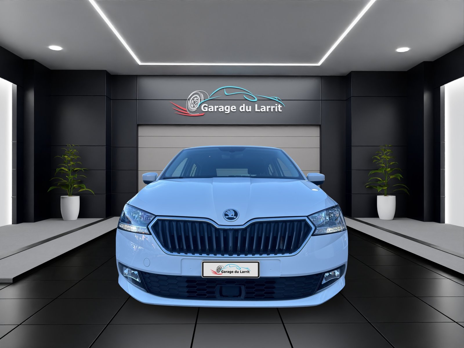 SKODA Fabia 1.0 TSI Ambition DSG, Benzina, Occasioni / Usate, Automatico - 2