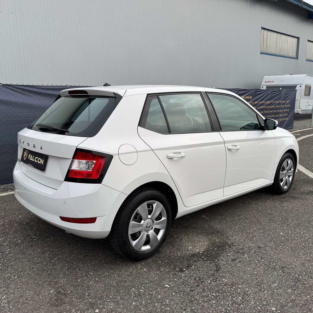 SKODA Fabia 1.0 TSI Ambition DSG, Benzina, Occasioni / Usate, Automatico - 7