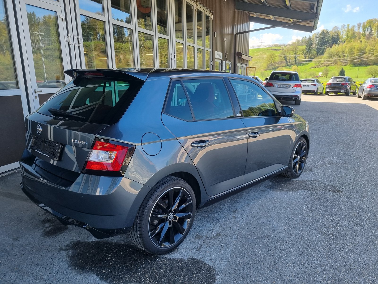 SKODA Fabia 1.2 TSI Monte Carlo DSG, Benzina, Occasioni / Usate, Automatico - 4