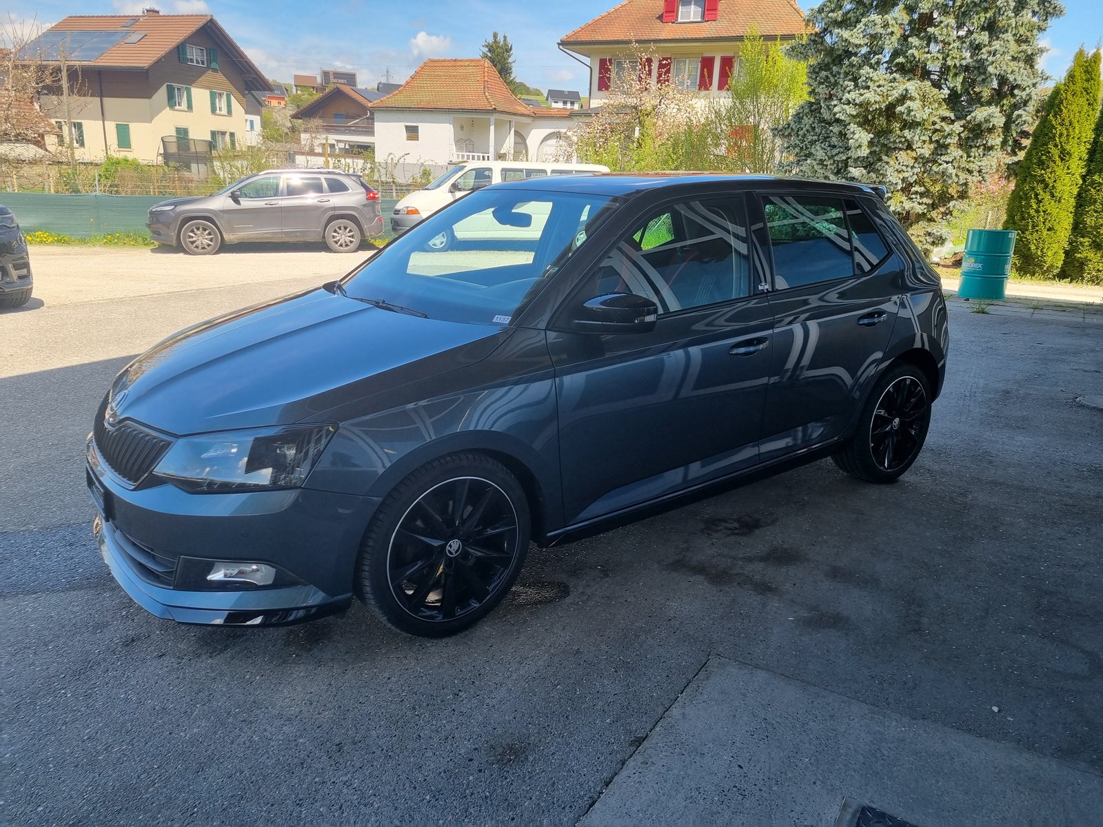 SKODA Fabia 1.2 TSI Monte Carlo DSG, Benzina, Occasioni / Usate, Automatico - 7