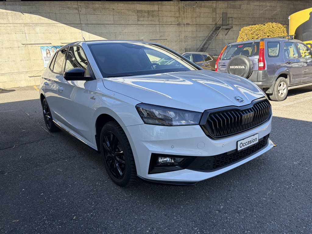 SKODA Fabia 1.0 TSI Selection DSG, Benzina, Occasioni / Usate, Automatico - 6