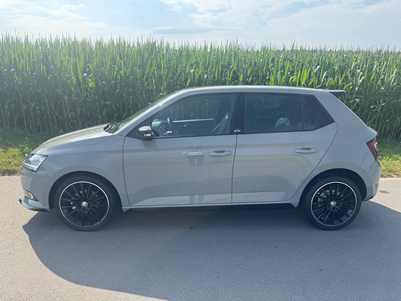 SKODA Fabia 1.0 TSI Monte Carlo, Benzin, Occasion / Gebraucht, Handschaltung - 3