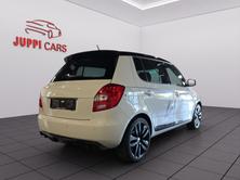 SKODA Fabia 1.4 TSI RS DSG, Essence, Occasion / Utilisé, Automatique - 5