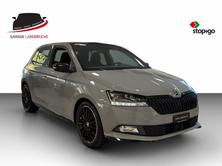 SKODA Fabia 1.0 TSI Monte Carlo DSG Steel-Grau, Benzina, Occasioni / Usate, Automatico - 5