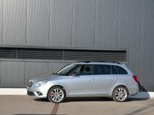 SKODA Fabia 1.4 TSI RS DSG, Benzina, Occasioni / Usate, Automatico - 2