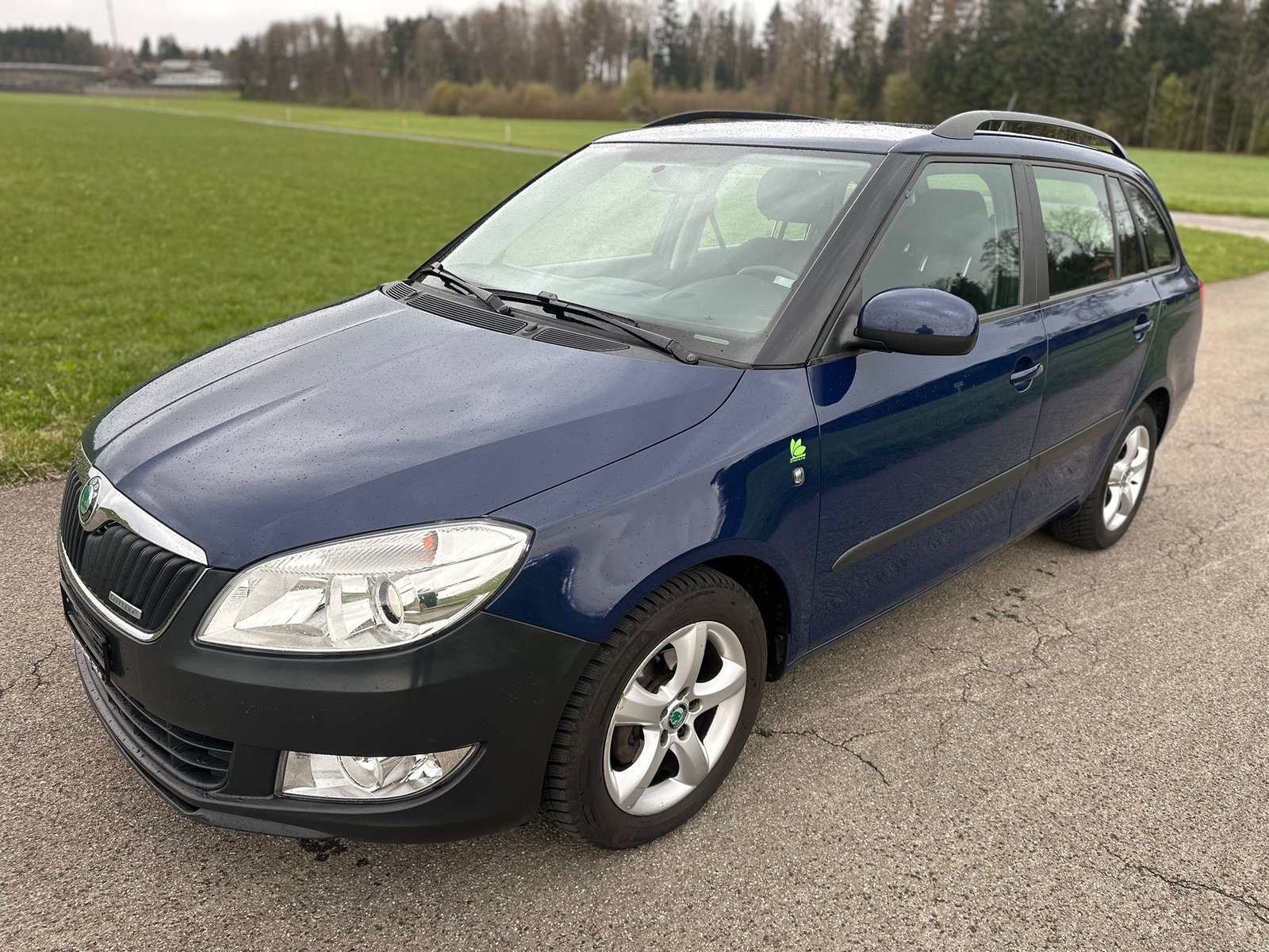 SKODA Fabia 1.2 TDI Greenline, Diesel, Occasioni / Usate, Manuale - 2