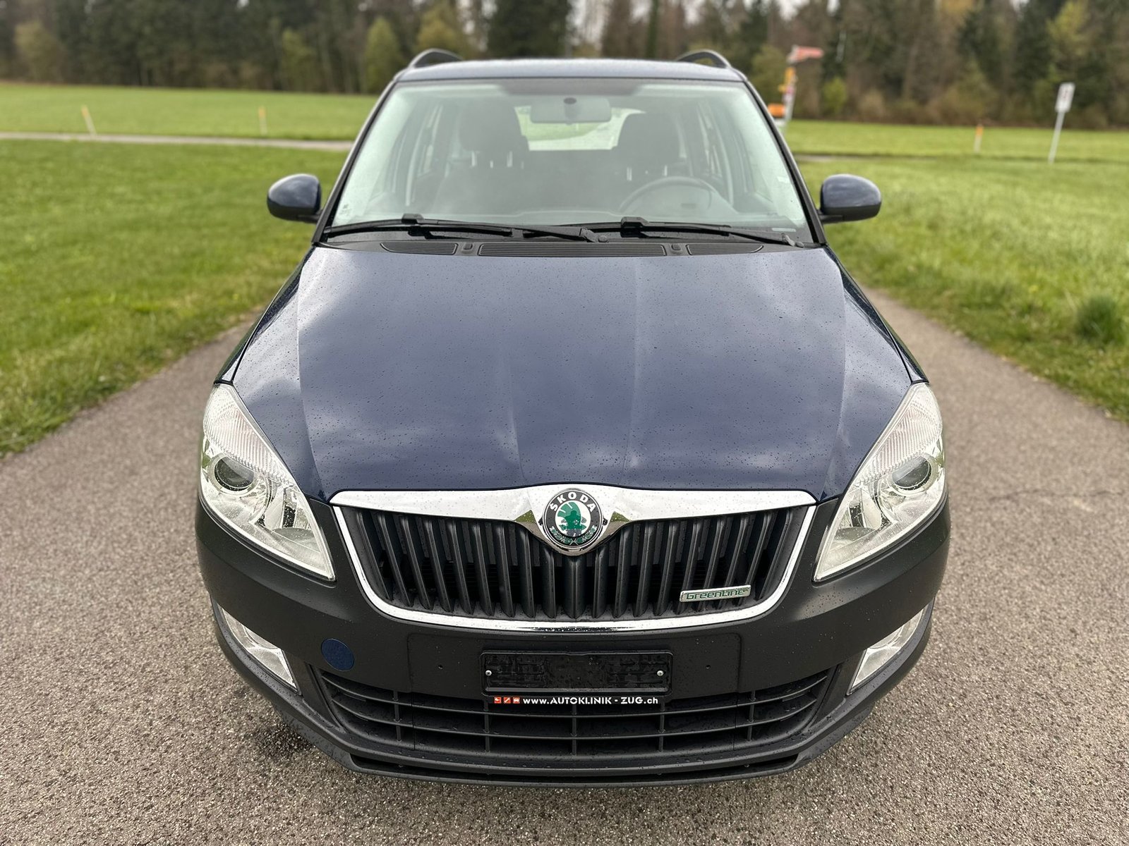 SKODA Fabia 1.2 TDI Greenline, Diesel, Occasioni / Usate, Manuale - 3