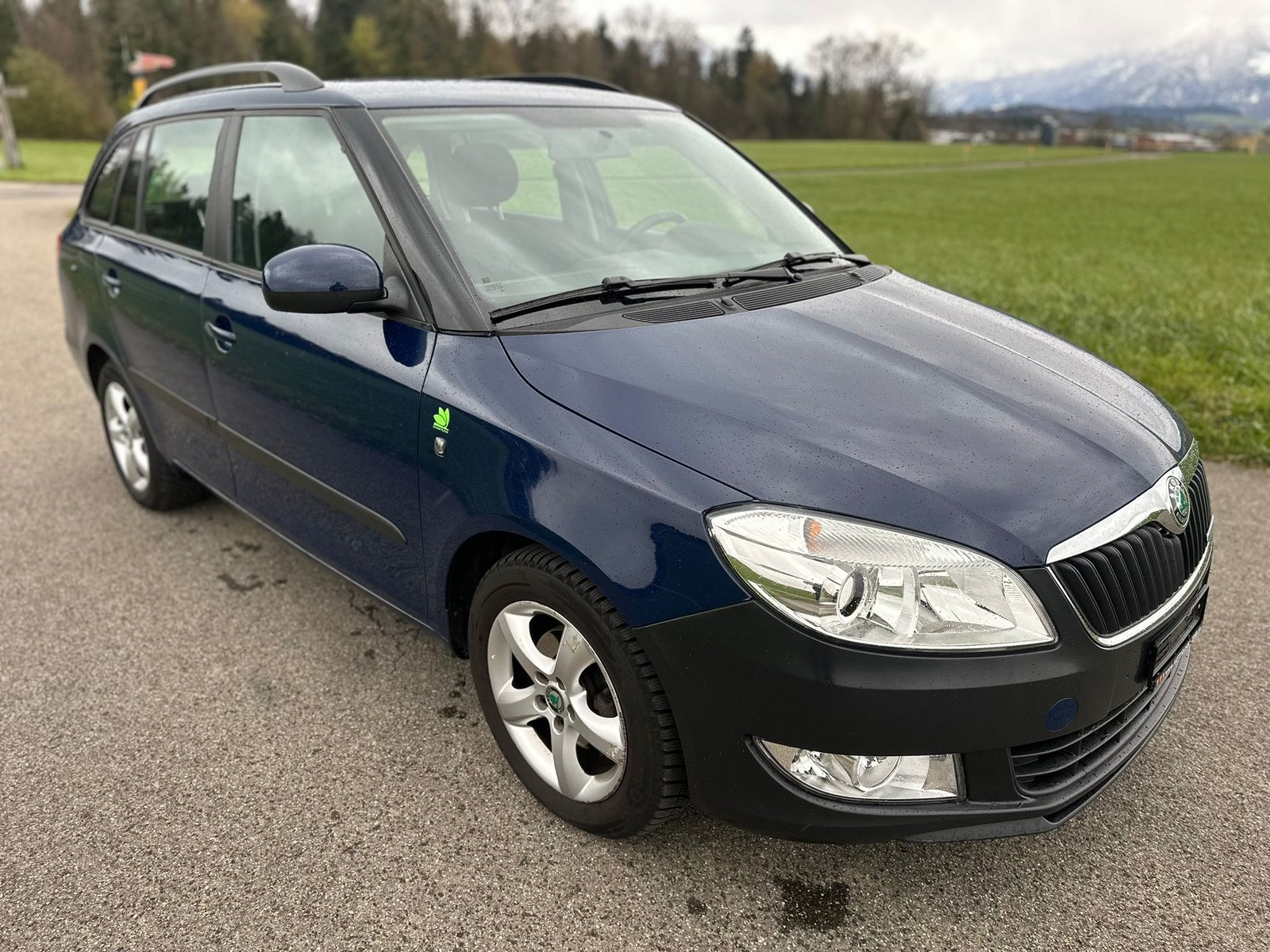SKODA Fabia 1.2 TDI Greenline, Diesel, Occasioni / Usate, Manuale - 4
