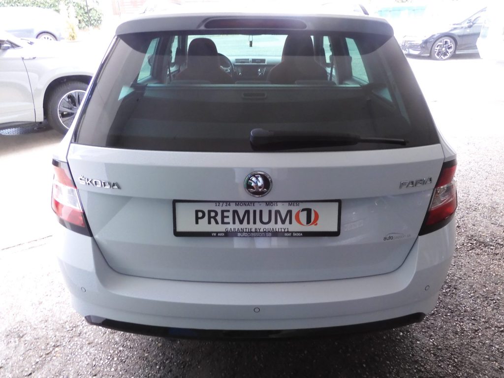 SKODA FABIA 1.0 TSI Monte Carlo, Benzina, Occasioni / Usate, Manuale - 7
