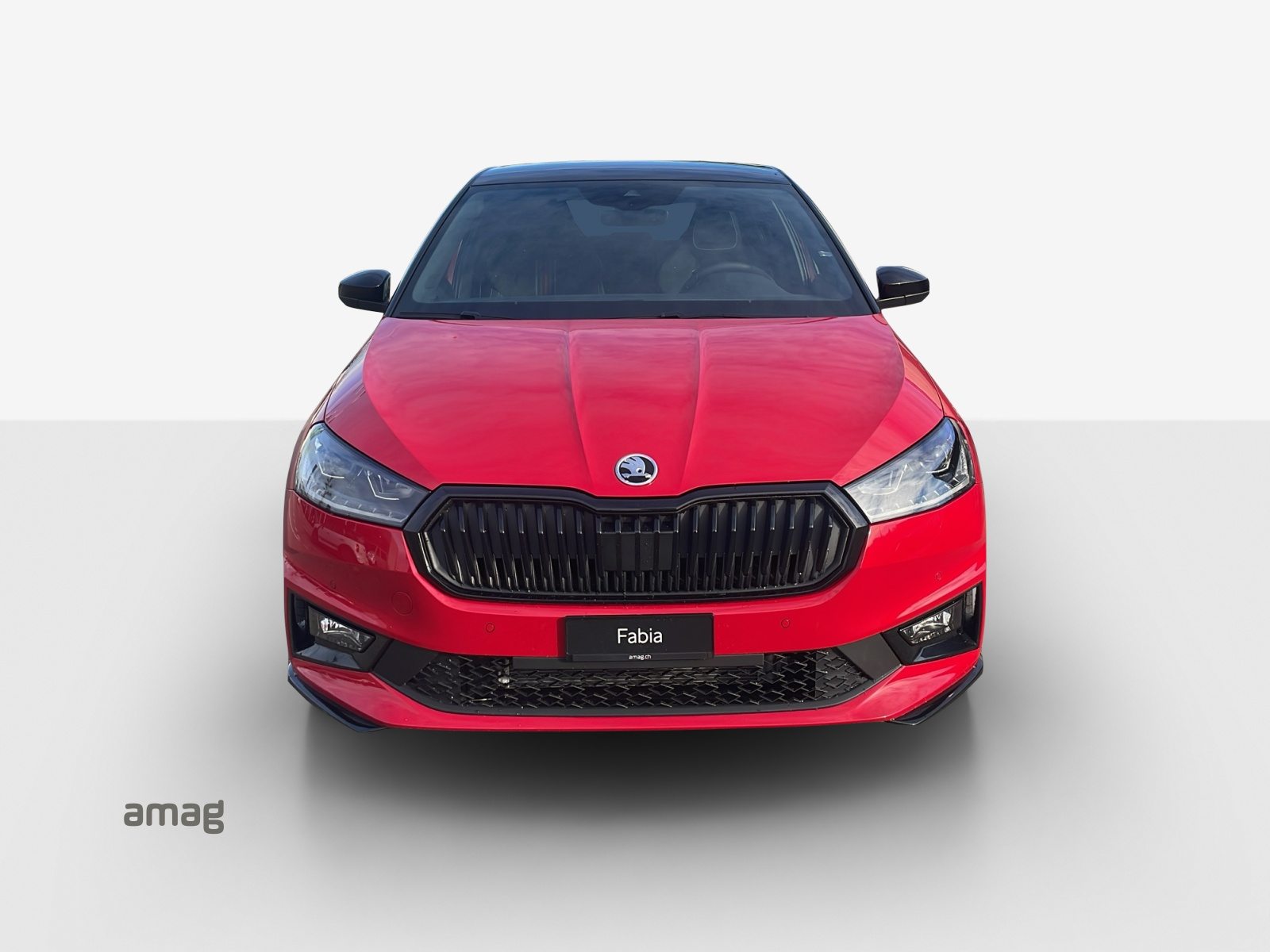 SKODA Fabia Monte Carlo, Petrol, New car, Automatic - 7
