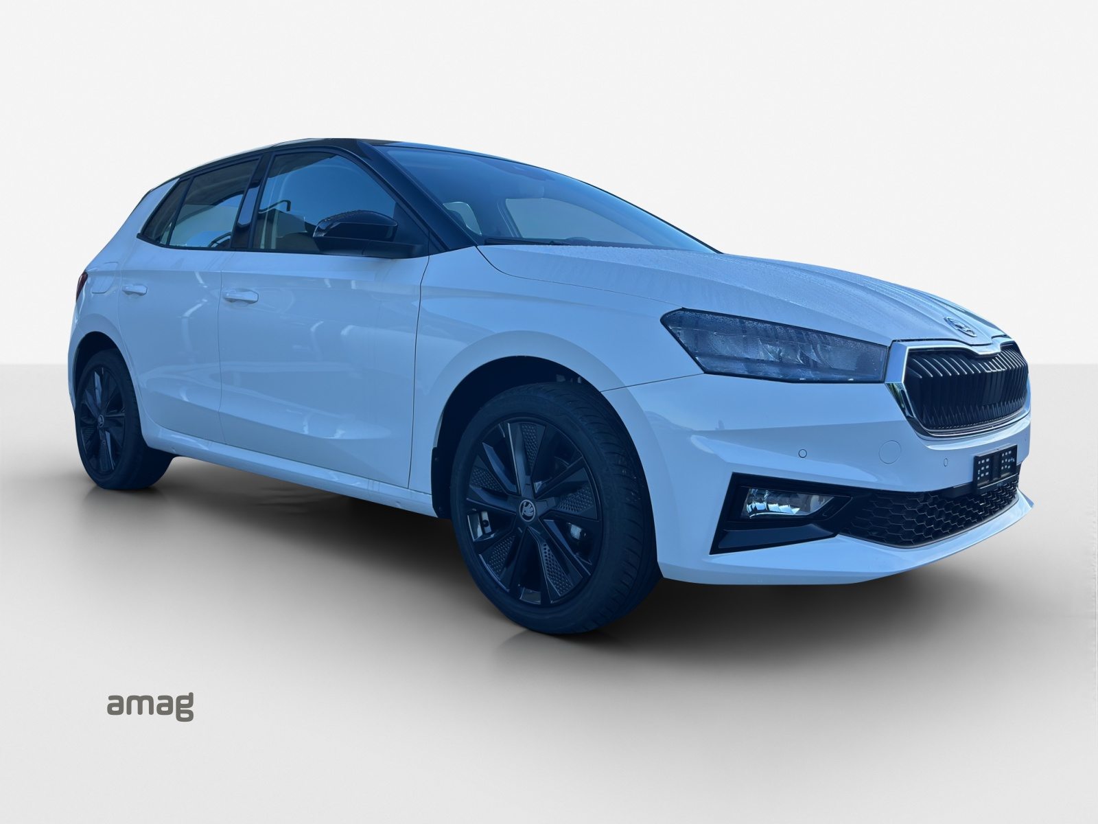 SKODA Fabia Selection, Benzina, Auto nuove - 6