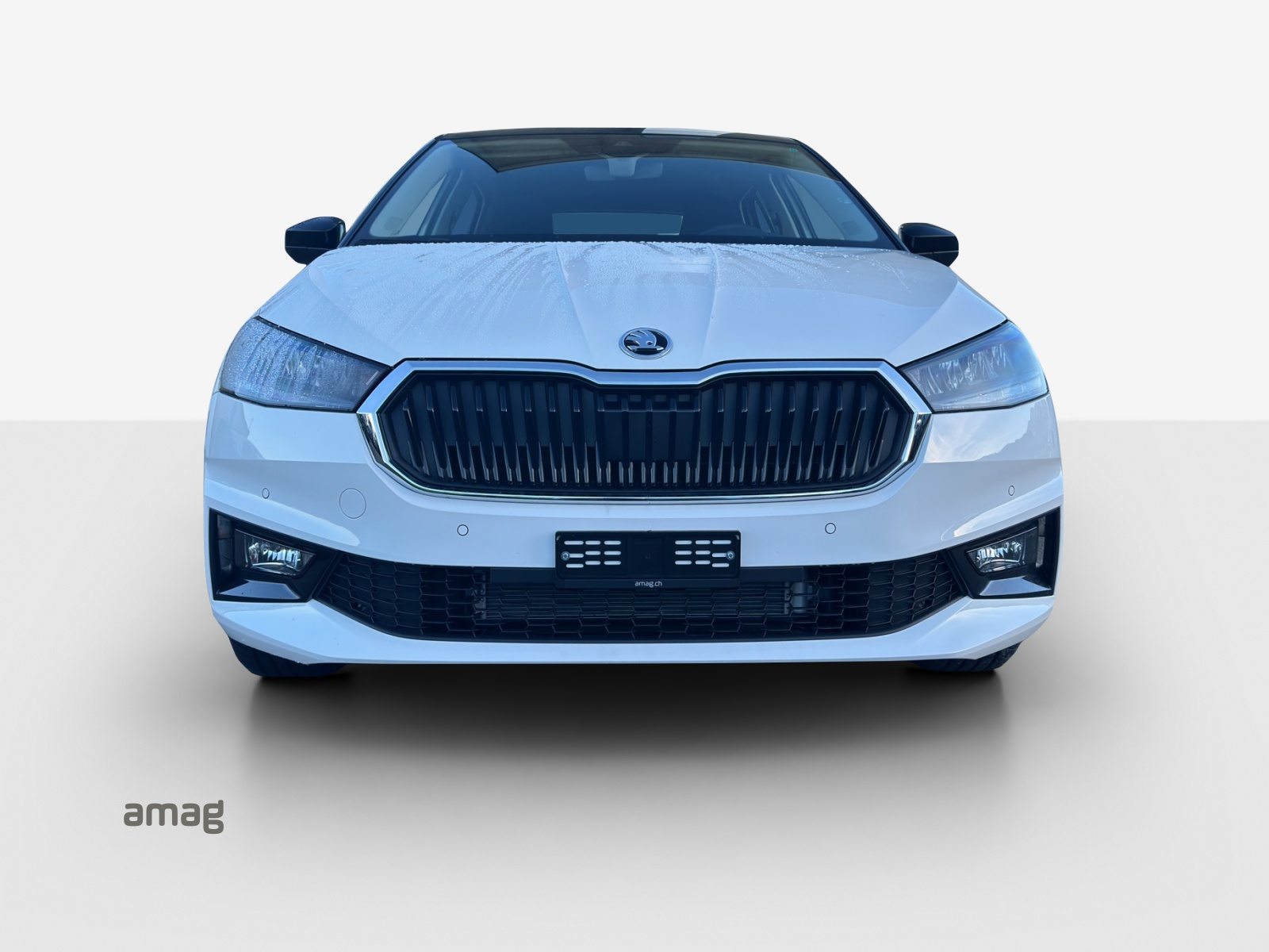 SKODA Fabia Selection, Benzina, Auto nuove - 7