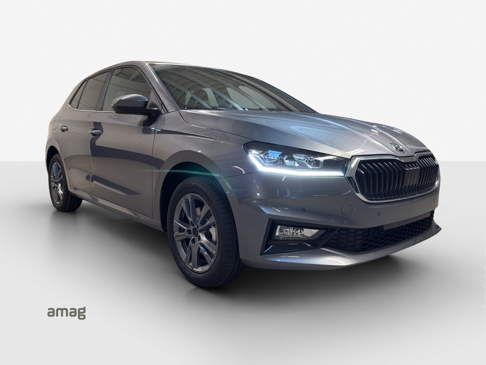 SKODA Fabia Dynamic (Netto), Benzin, Neuwagen, Automat - 6