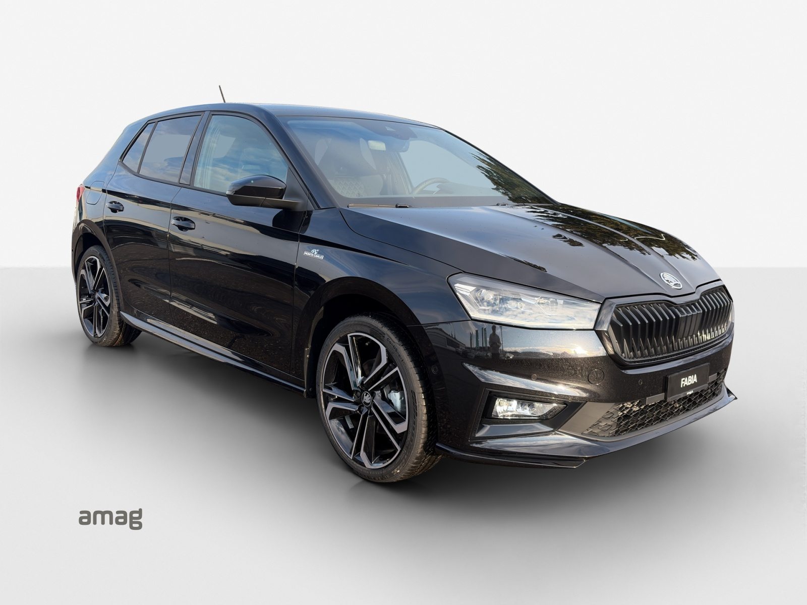 SKODA Fabia Monte Carlo, Petrol, New car, Automatic - 6