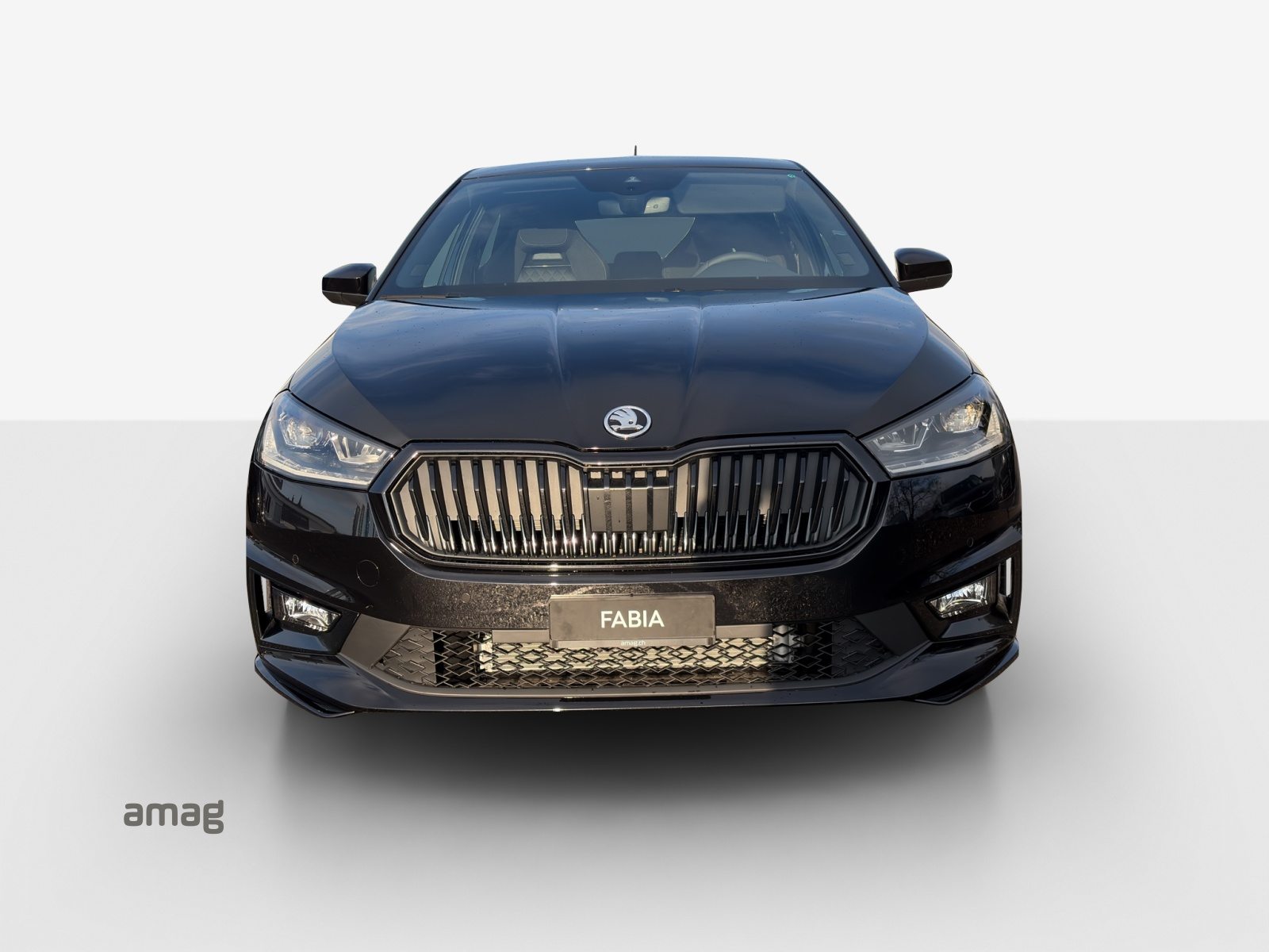 SKODA Fabia Monte Carlo, Petrol, New car, Automatic - 7