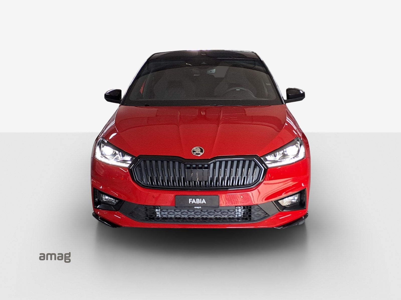 SKODA Fabia Monte Carlo, Benzin, Neuwagen, Automatik - 7