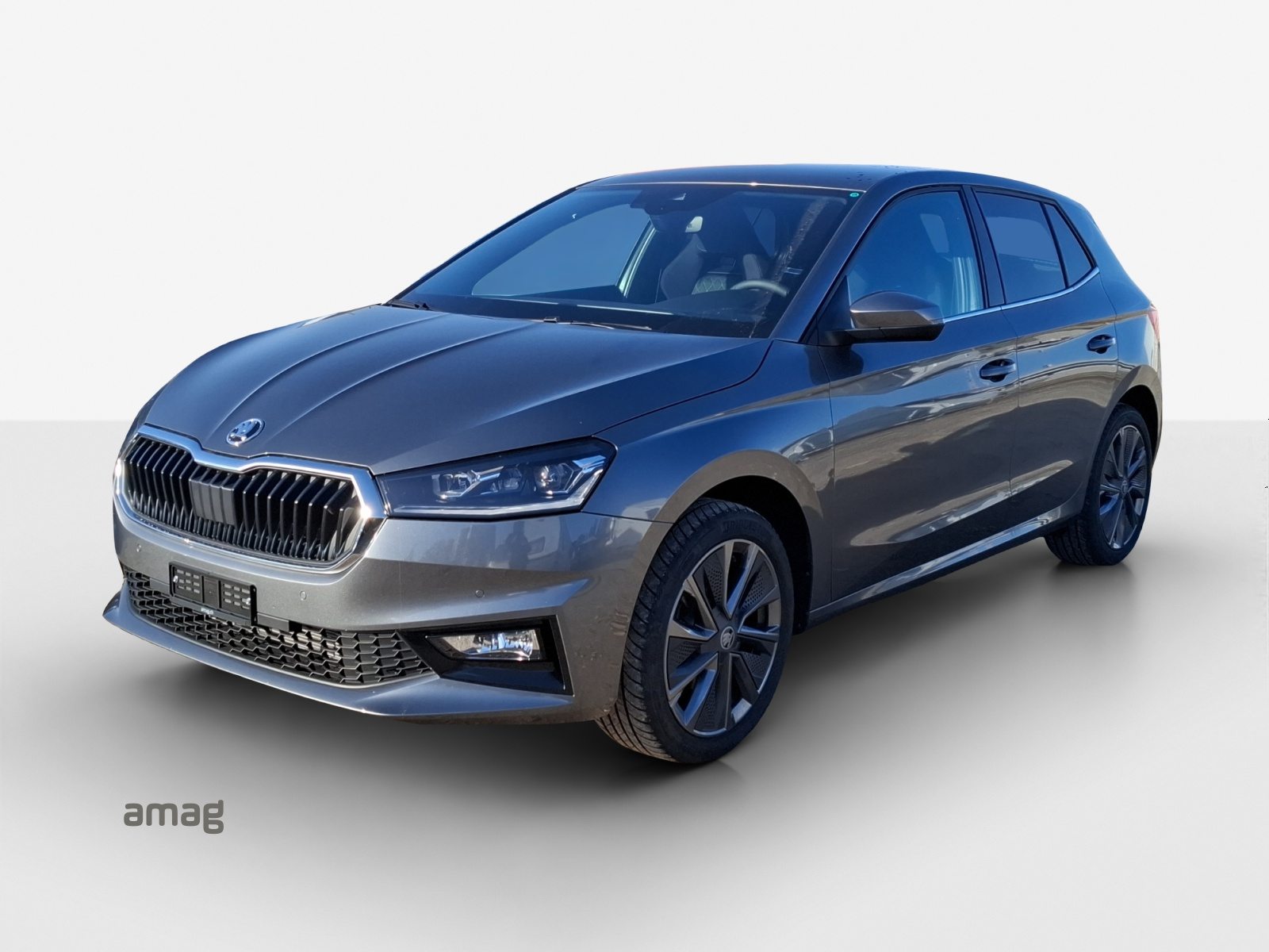 SKODA Fabia Dynamic (Netto)