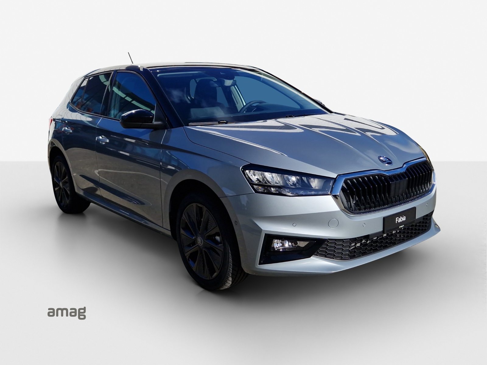 SKODA Fabia Selection, Benzina, Auto nuove, Automatico - 6
