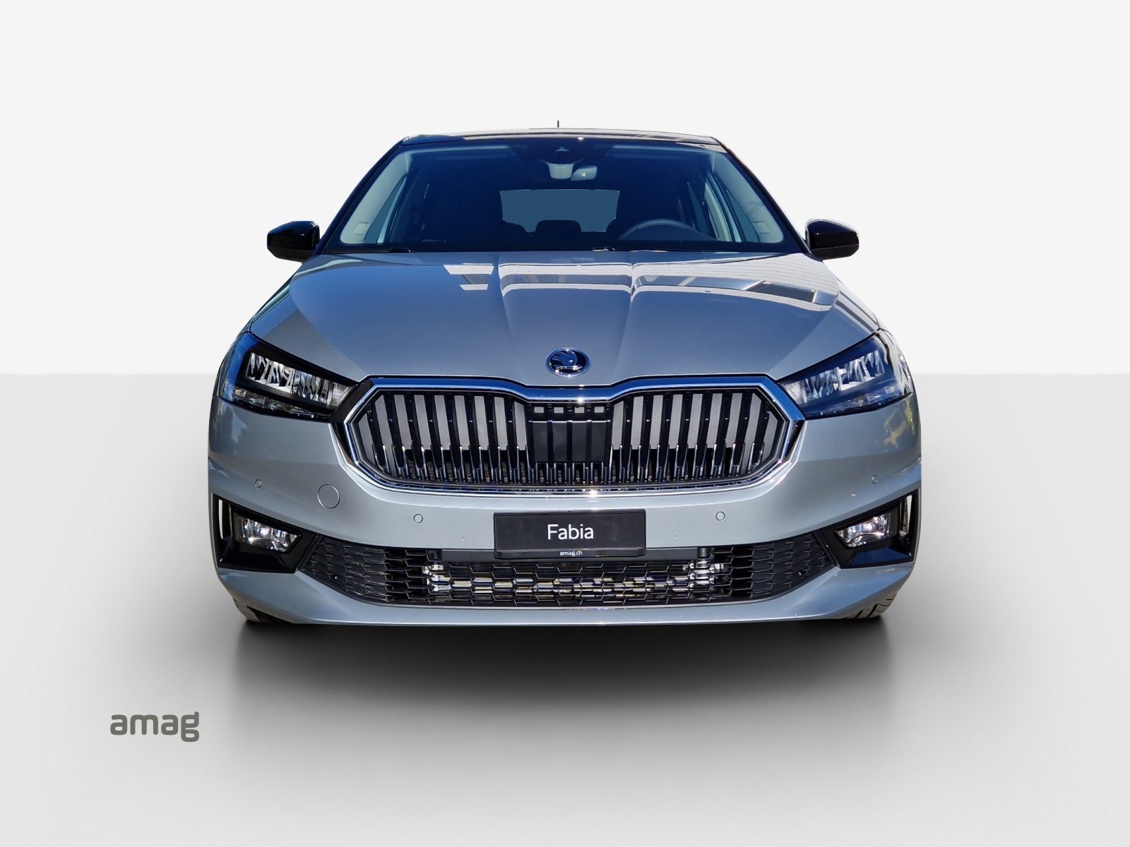 SKODA Fabia Selection, Benzina, Auto nuove, Automatico - 7